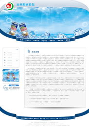 山西明泰食品網(wǎng)站制作方案 高效專(zhuān)業(yè)，助力品牌騰飛